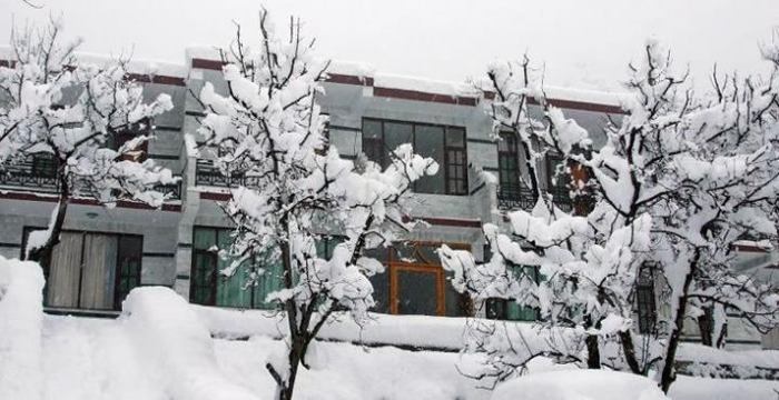 The Manali Lodge
